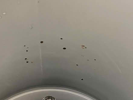 Photo of free Tiger 3 liter water boiler (Campbell near Pruneyard Center) #4