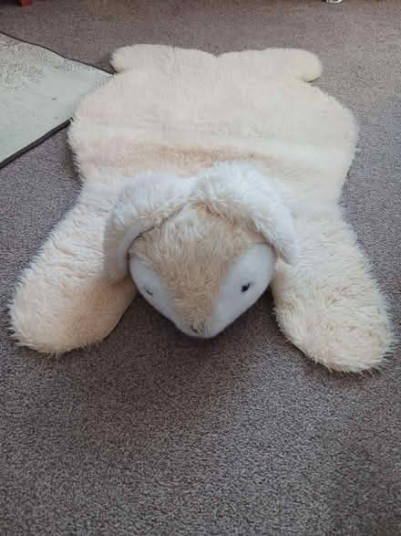 Photo of free Kids rug (Southport PR9) #1