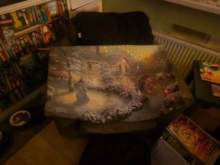 Photo of free Fibre Optic Winter Scene Tapestry (Dublin 15) #1