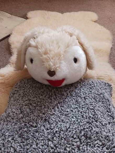 Photo of free Kids rug (Southport PR9) #2