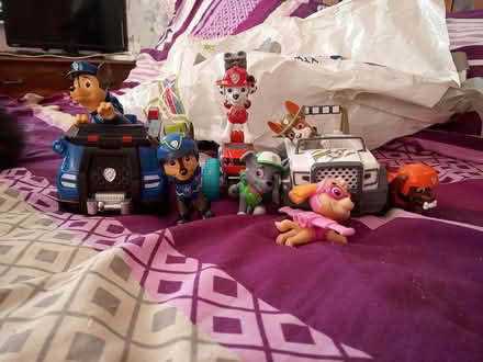 Photo of free Paw patrol (Dukinfield) #1
