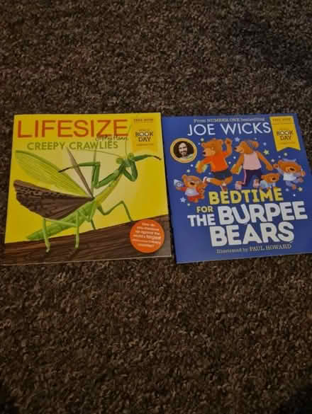 Photo of free World book day books (NG15) #1