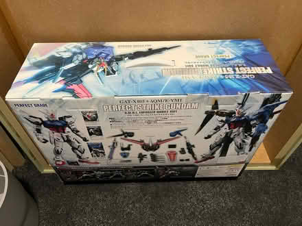 Photo of free Perfect Grade Strike Gundam (SE4) #2