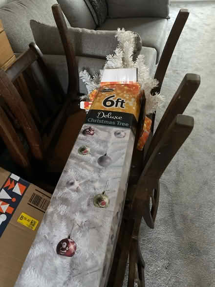 Photo of free White Christmas tree (B29) #1