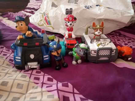 Photo of free Paw patrol (Dukinfield) #2