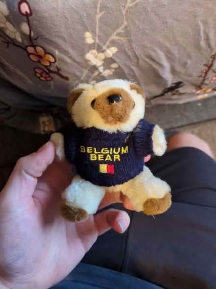 Photo of free Teddies (MK45) #3