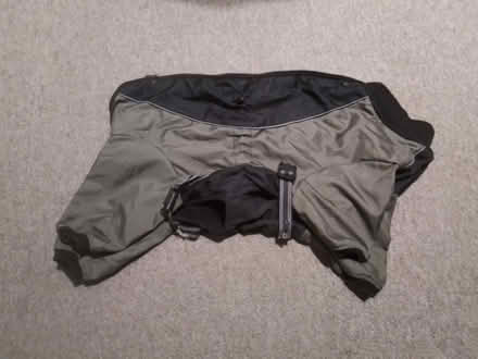 Photo of free Dog coat (Flintshire CH1) #1