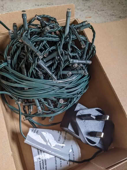 Photo of free Christmas lights (Throop) #1