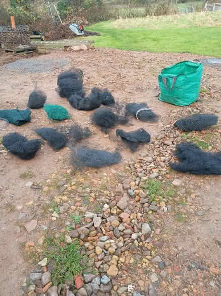 Photo of free Garden Netting (Winscombe BS25) #2