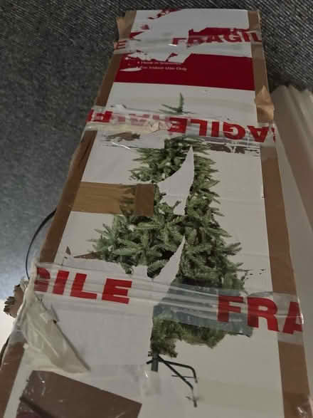 Photo of free Christmas Trees (2) (Little Dawley TF4) #1