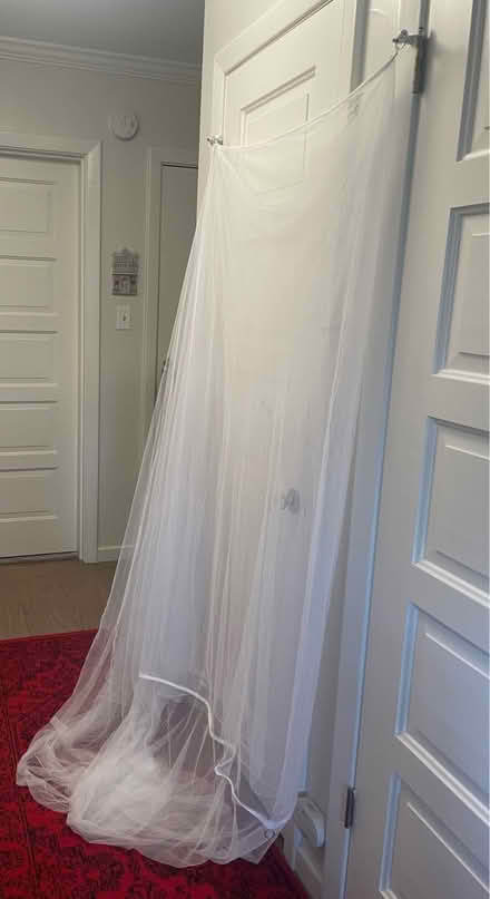 Photo of free Large Mosquito Net w Hanging Loops (Nob Hill, San Francisco, CA) #1
