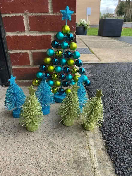 Photo of free Christmas decorations (Carlton Miniott YO7) #1