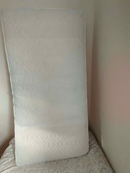 Photo of free Cot mattress (Hailsham BN27) #1