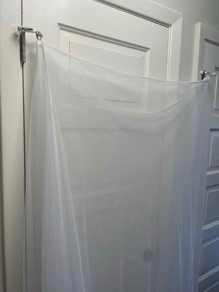 Photo of free Large Mosquito Net w Hanging Loops (Nob Hill, San Francisco, CA) #2