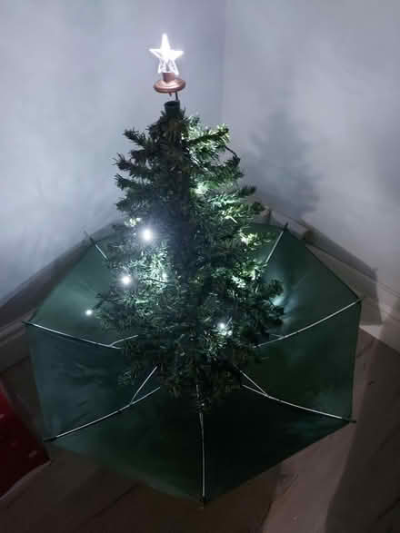 Photo of free Christmas tree (Stenson Fields Derby) #1