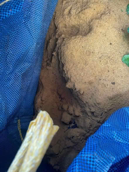 Photo of free Building Sand, 3/4 of a Tonne Bag (CT2) #1