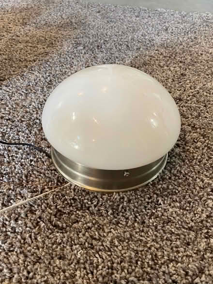 Photo of free Dome Lights (Madisonville) #1