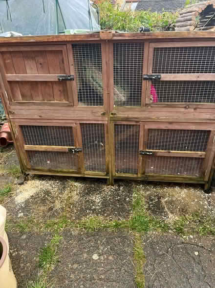 Photo of free Rabbit/guinea pig hutch + run (Chalford GL6) #1