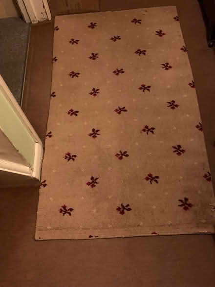 Photo of free Rug 120cm x 85cm (Alton GU34) #3