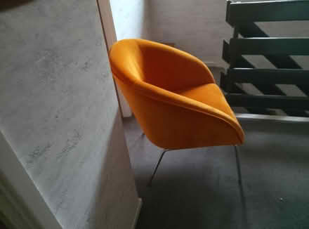 Photo of free Orange tub chair (Beechwood) #2