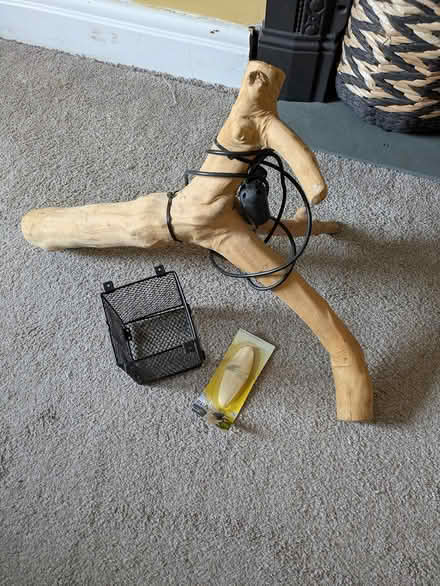 Photo of free Reptile items (Skelsmergh (Kendal)) #1