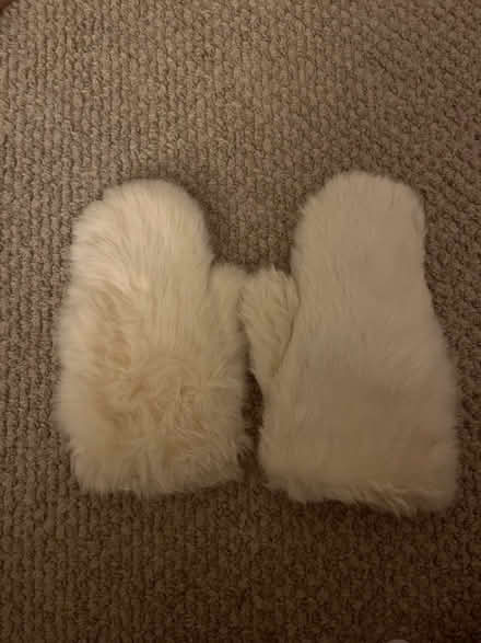 Photo of free Fur mittens (damaged) (McLean Gardens) #1