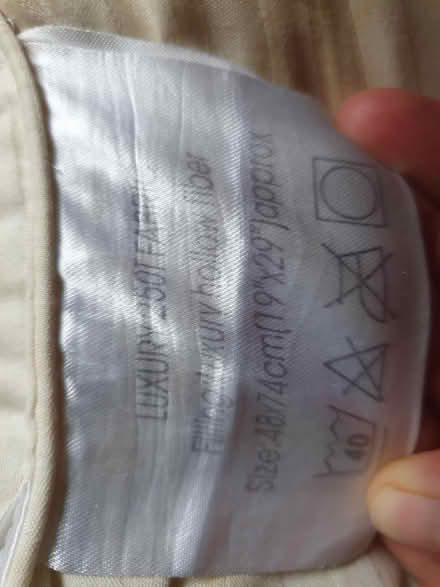 Photo of free Pillow (E5) #2