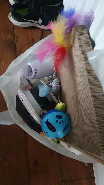 Photo of free Assorted cat toys (Twickenham) #2