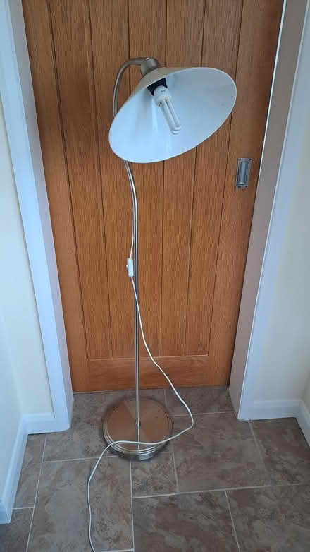 Photo of free Floor Lamp (teignmouth) #1