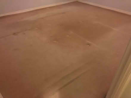 Photo of free Used Carpet (Whitnash CV34) #1