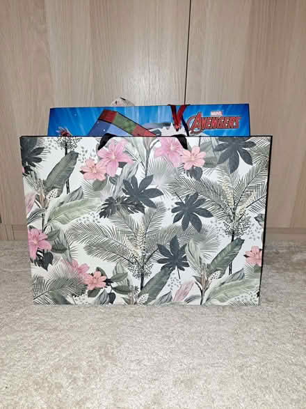 Photo of free About 20 gift bags (Penrith CA11) #1