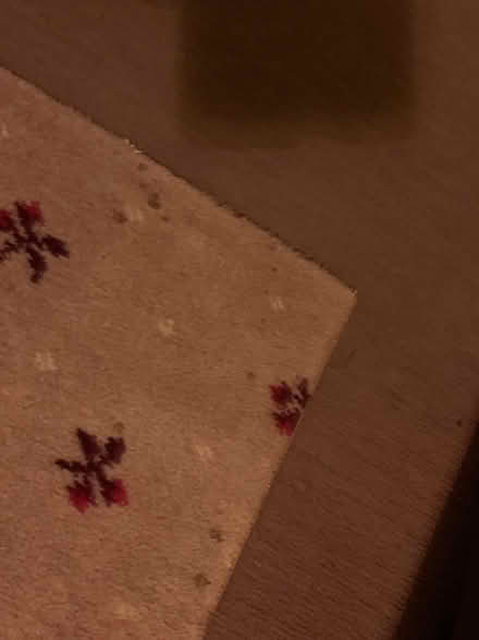 Photo of free Rug 120cm x 85cm (Alton GU34) #1