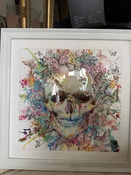 Photo of free Brand new 3d skull pic (BR5) #1