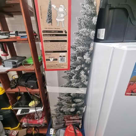 Photo of free Xmas tree (Blacon CH1) #1