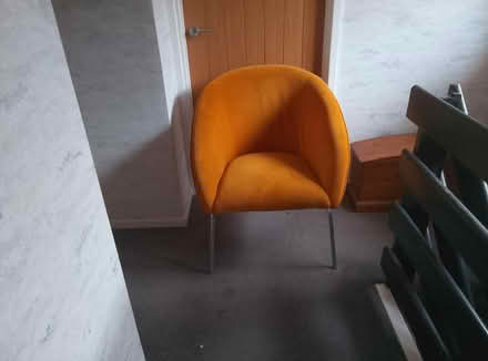 Photo of free Orange tub chair (Beechwood) #1