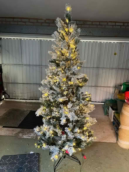 Photo of free 7ft Pre Lit Christmas Tree (Malvern Link WR14) #1
