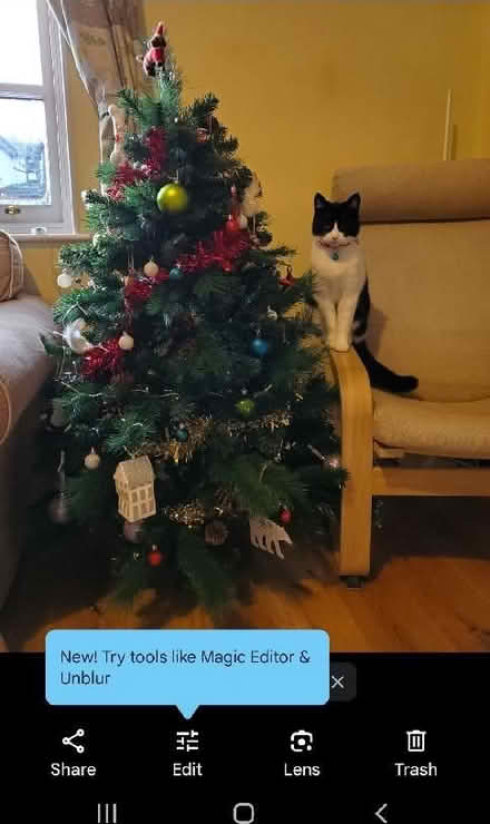 Photo of free Christmas tree artificial 1.2m (Colinton EH13) #2