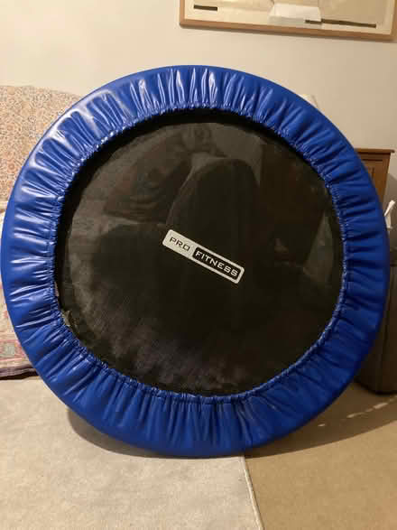 Photo of free Pro Fitness trampoline (Diss IP22) #1
