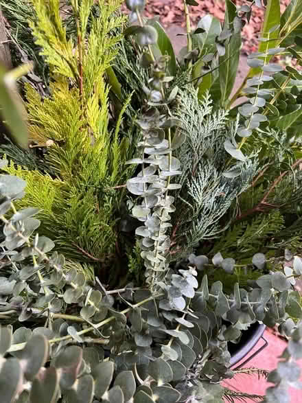 Photo of free Foliage for Christmas wreath / mantel decoration (Wimbledon Village SW19) #3