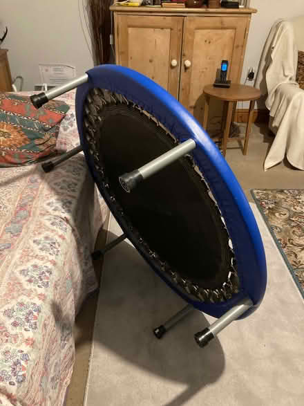 Photo of free Pro Fitness trampoline (Diss IP22) #2