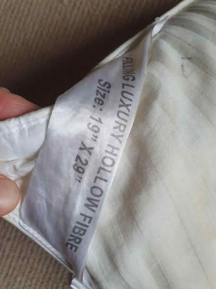 Photo of free Pillow (E5) #3