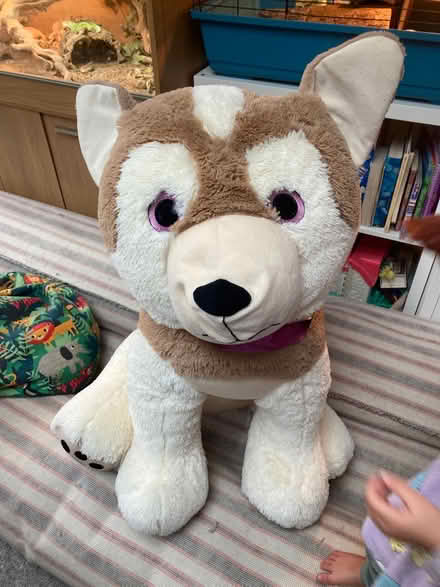 Photo of free Giant dog (OX1 henwood) #1