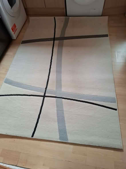 Photo of free Rug (Strelley NG8) #1