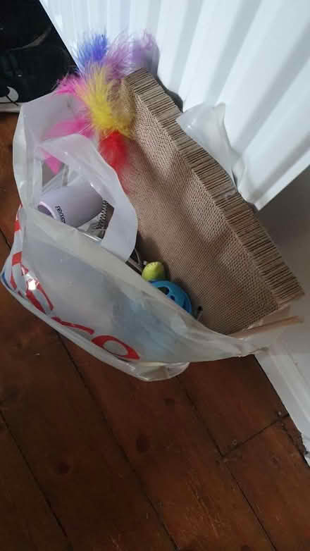 Photo of free Assorted cat toys (Twickenham) #1