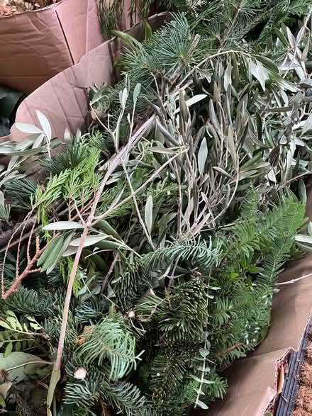 Photo of free Foliage for Christmas wreath / mantel decoration (Wimbledon Village SW19) #2