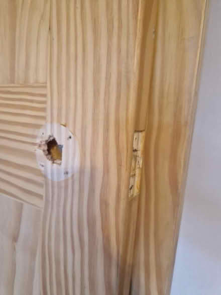 Photo of free Internal Doors 1930s Style (Gidea Park RM2) #2