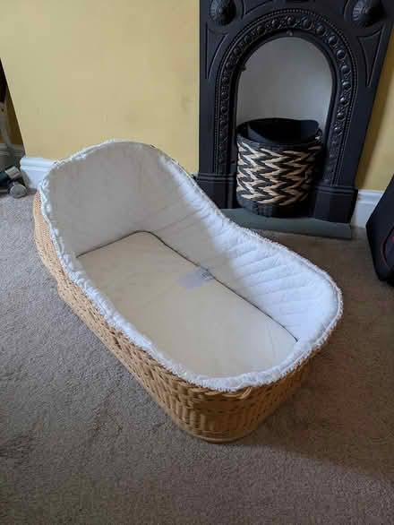 Photo of free Bassinet (Skelsmergh (Kendal)) #1