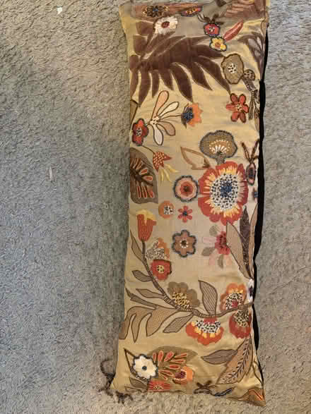 Photo of free Decorative couch pillow (Bethesda) #1