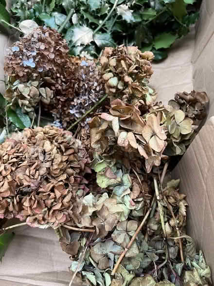 Photo of free Foliage for Christmas wreath / mantel decoration (Wimbledon Village SW19) #4