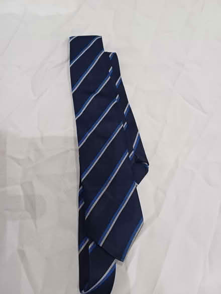 Photo of free WLFS school tie (W12) #1